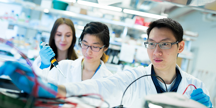 3 students working in lab